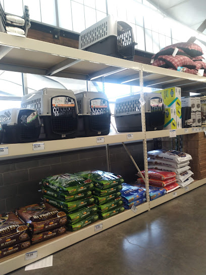 North 40 Outfitters - Store photo