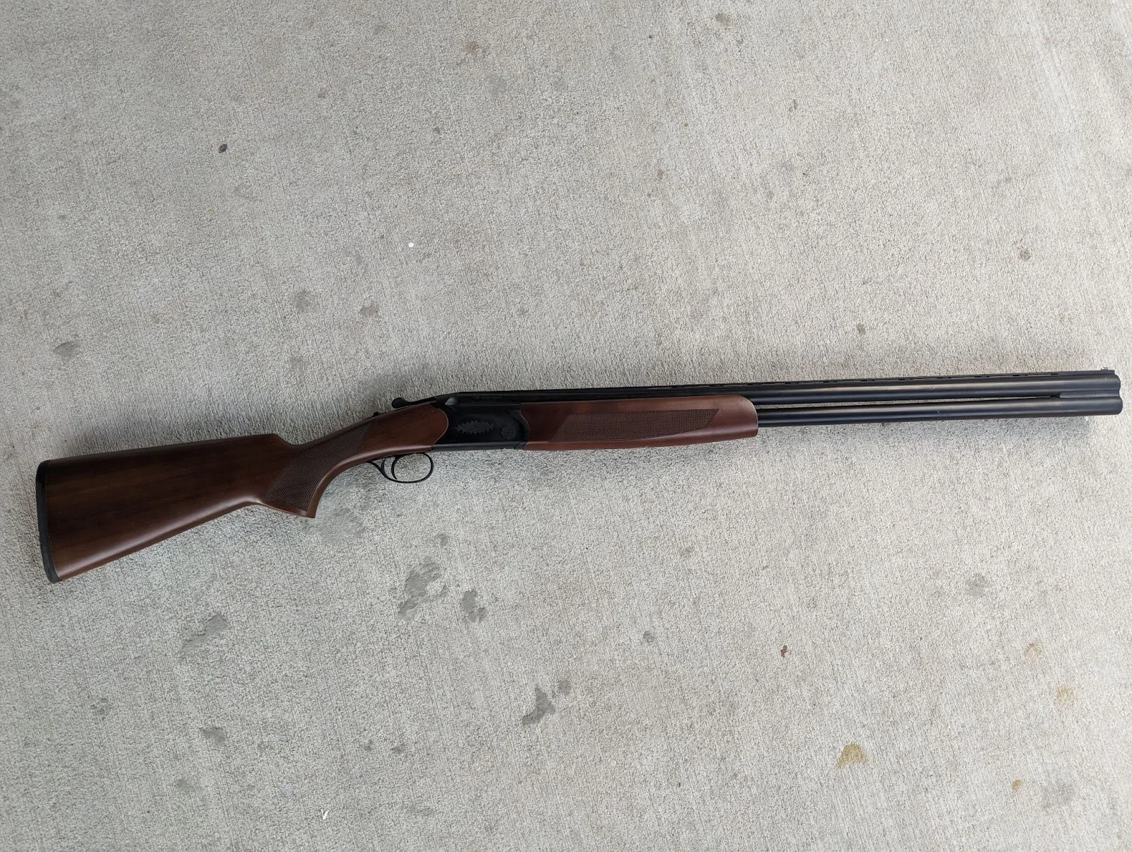 Cz drake photo