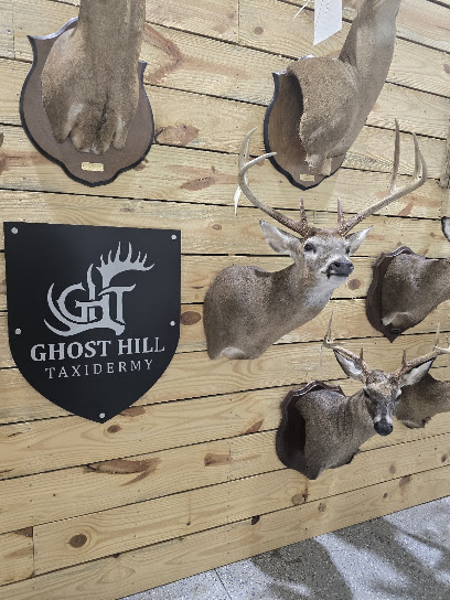 Ghost Hill Taxidermy - Store photo
