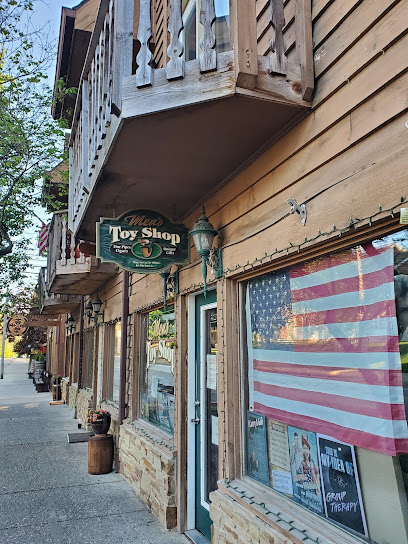 Men's Toy Shop Inc - Store photo