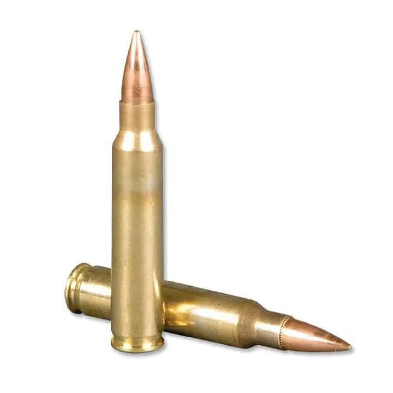 5.56 cartridge