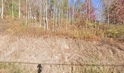 Spotts Auction, LLC - Store photo