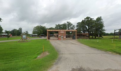 TJ's FIREARMS - Store photo