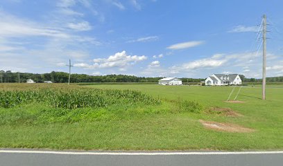Eastern Shore Auctions - Store photo