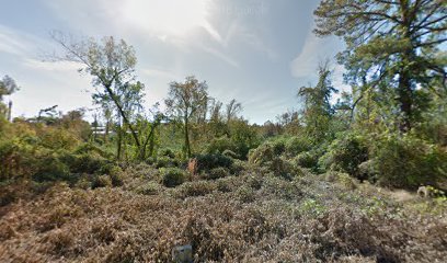 Presley Estate Sales & Auctions, LLC - Store photo