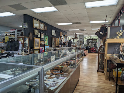 Affiliated Auctions - Store photo