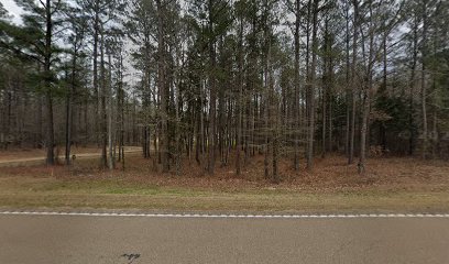 Bob's Guns of Mississippi - Store photo
