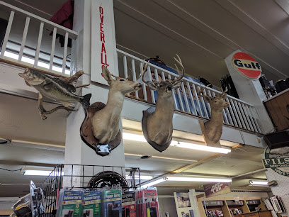 Ted's Sporting Goods - Store photo