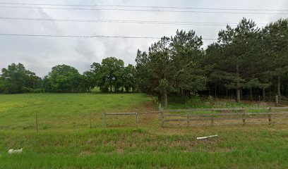 Red Colony Outfitters - Store photo