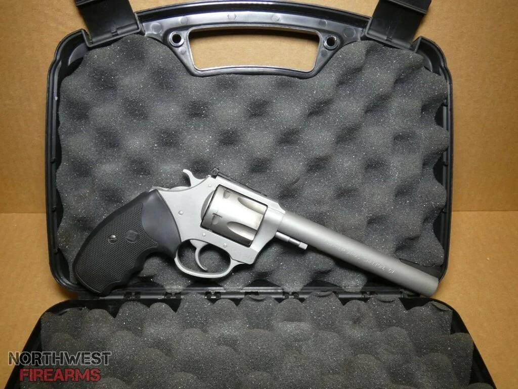 Charter Arms Pitbull