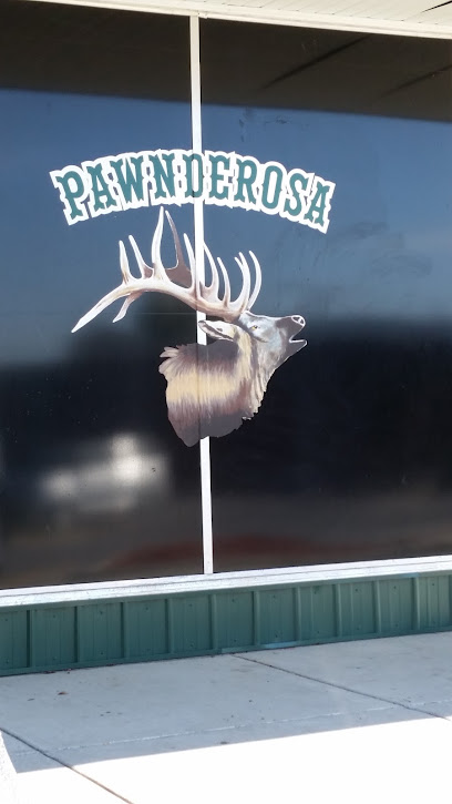 Pawnderosa Gun & Pawn LLC - Store photo
