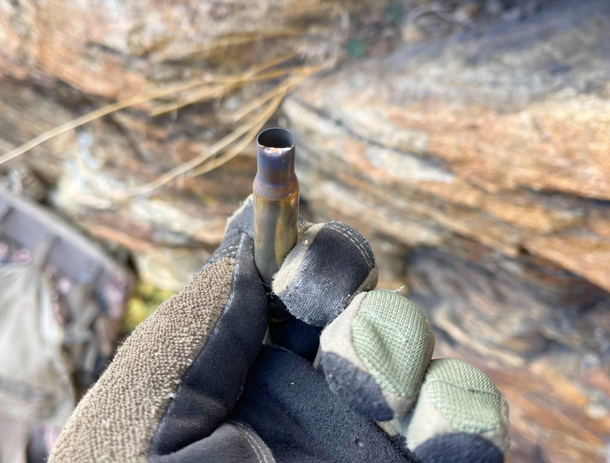 bear creek arsenal bc8 ammo review