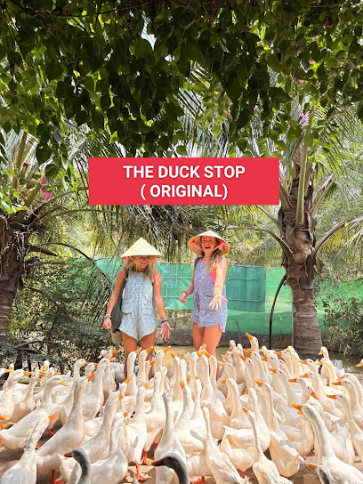 The Duck Stop - Store photo