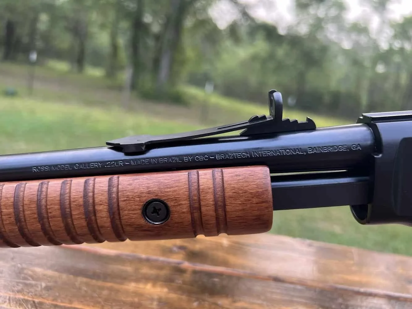 rossi gallery rear sights