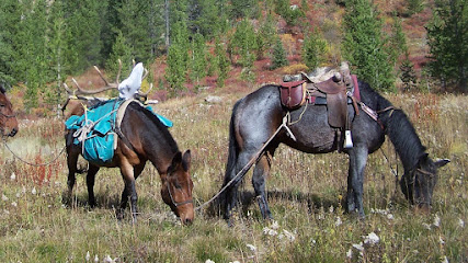 White Mountain Outfitters - Store photo