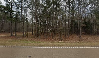 Bob's Guns of Mississippi - Store photo