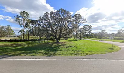 Thundercloud Gun Club - Store photo