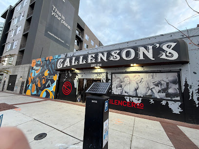 Gallenson's Guns and Ammo - Store photo