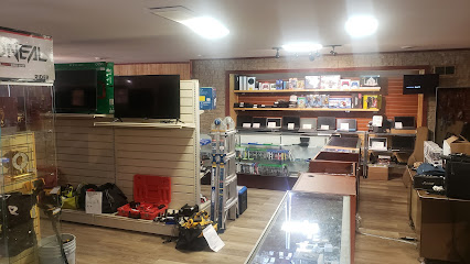 Levs Pawn Shop - Store photo