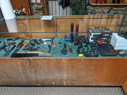 Guns N Pawn LLC - Store photo
