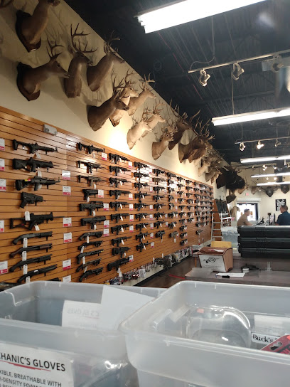 Shoot Straight Tampa - Store photo