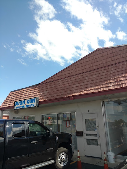 Avon Gun & Hunting Supply - Store photo