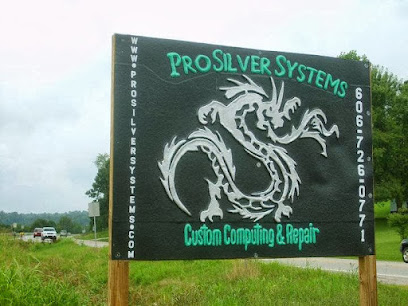 Pro Silver Systems - Store photo