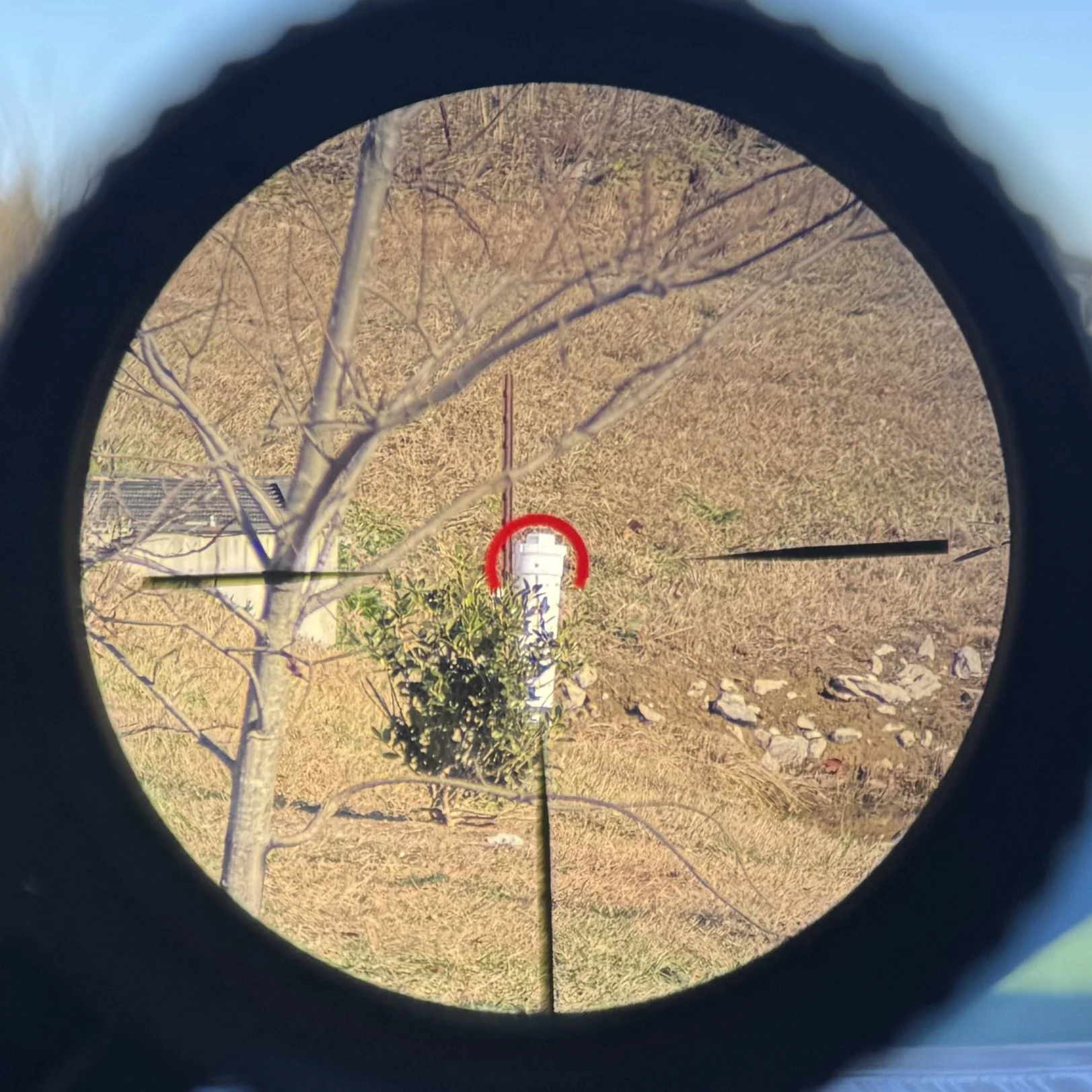 Image demonstrating the effectiveness of the Swampfox Warhorse's illumination settings, shown here on level 10 in bright daylight conditions