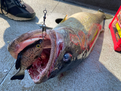 Bill's Hooks - Store photo