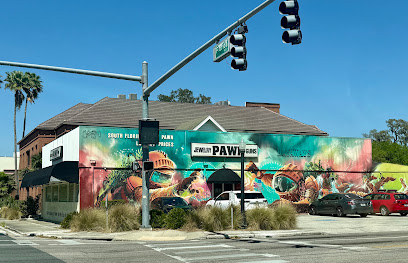 South Florida Gun & Pawn - Store photo