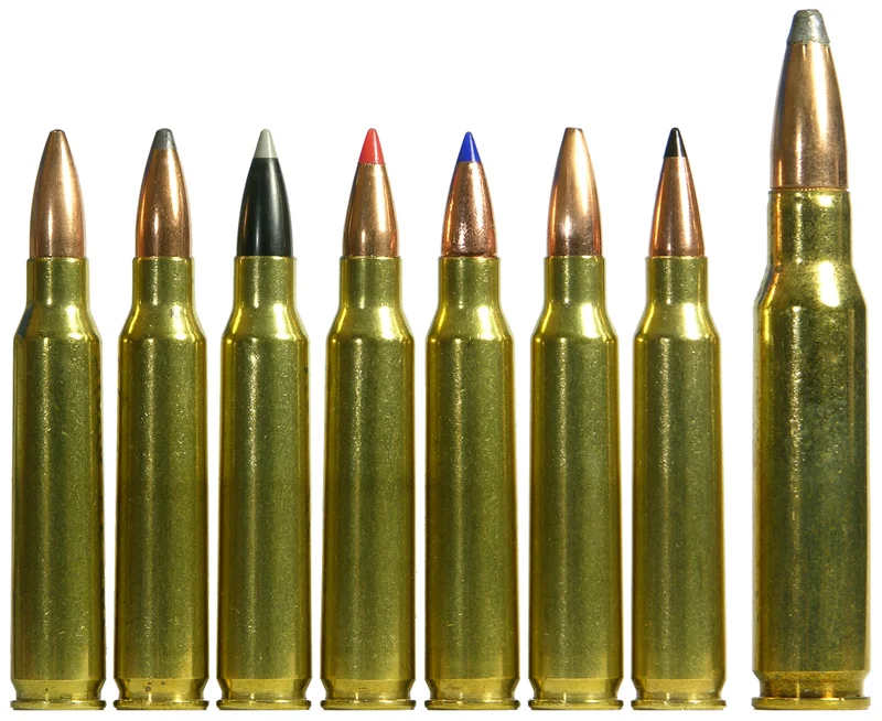 223 and 308 ammo