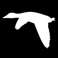 DNW Outdoors logo