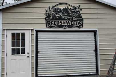 Reeds N Weeds LLC - Store photo