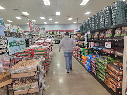 Bomgaars - Store photo