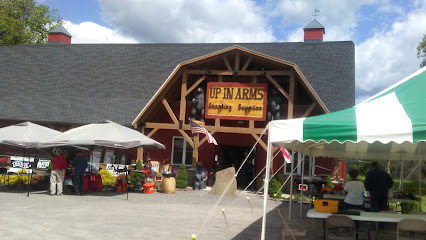 Up in Arms Shooting Supplies, Inc. - Store photo