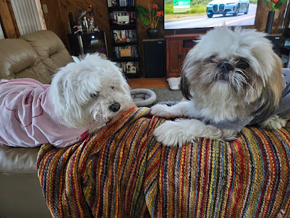 Mugsy's Place, LLC - Store photo