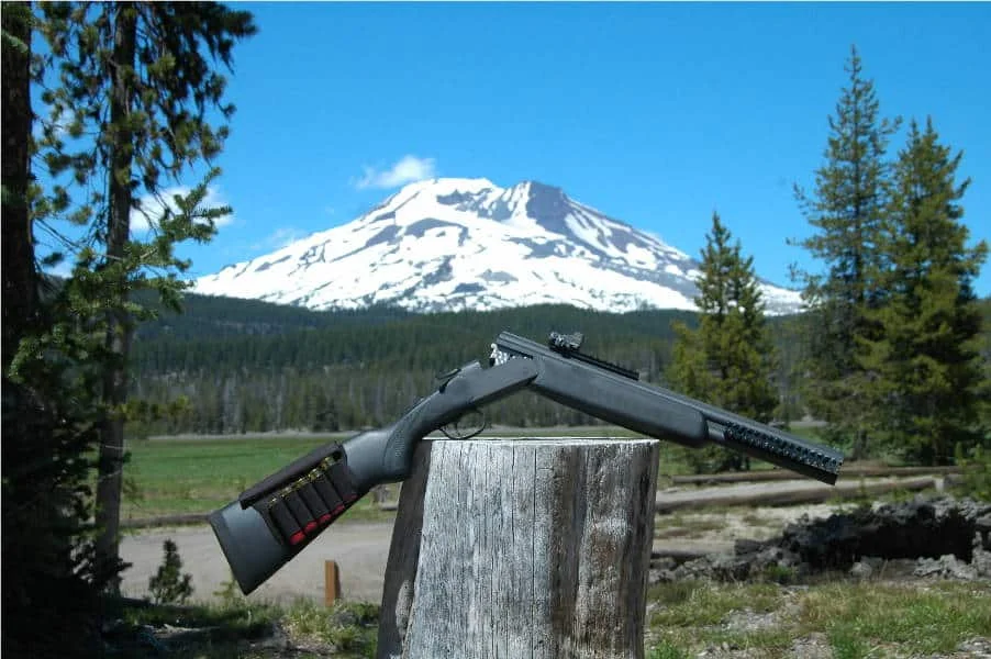 stoeger double defense next to mountains