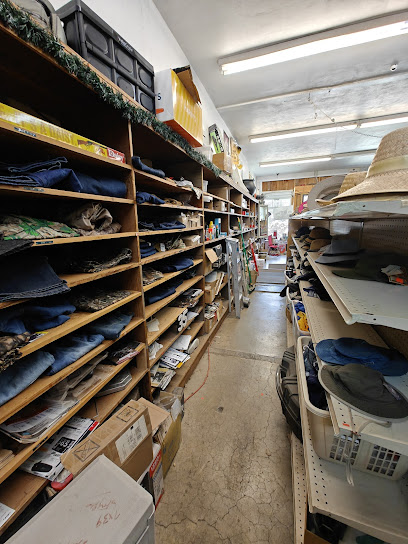 Brown's Sporting Goods - Store photo