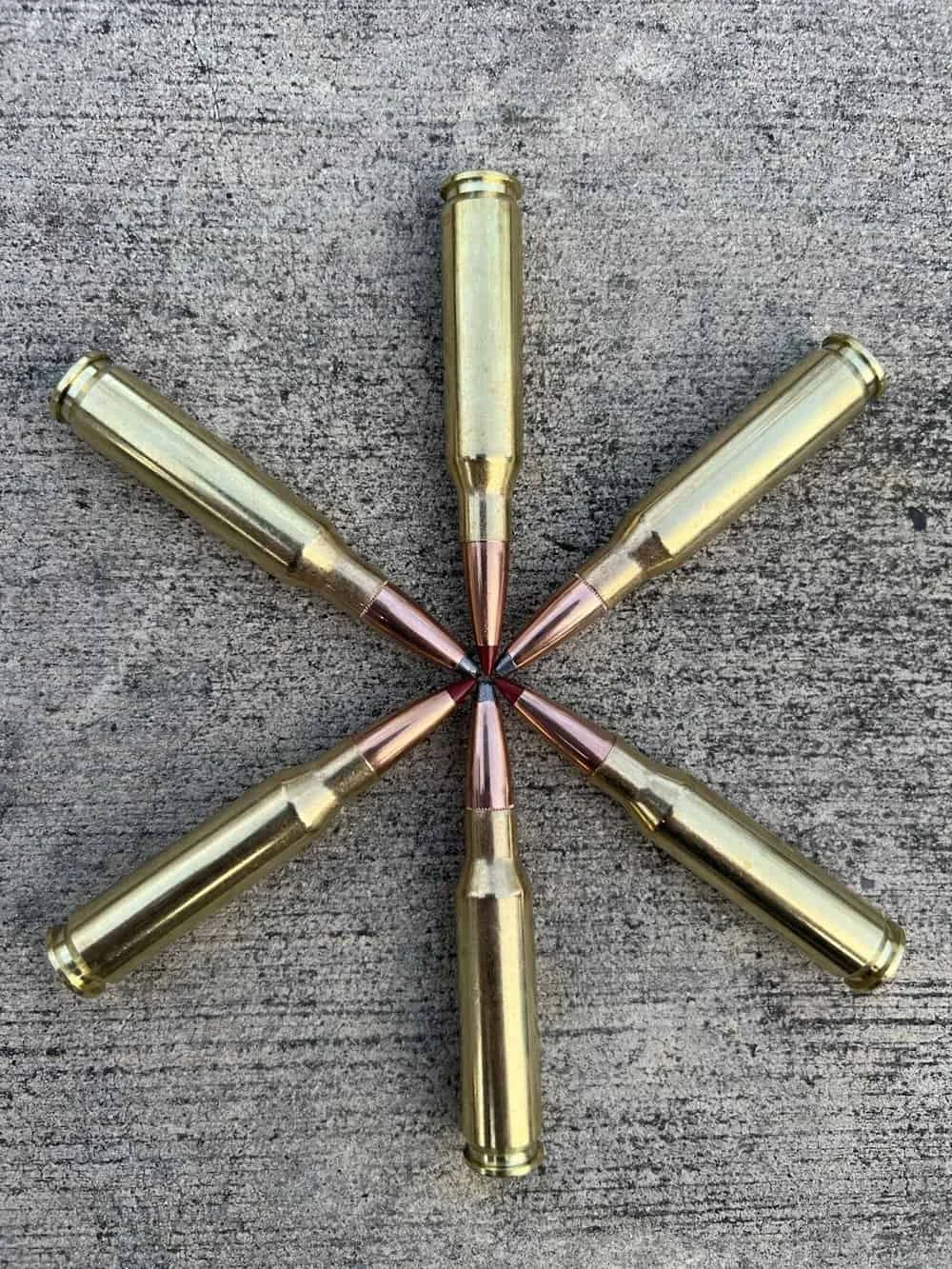 hornady precision hunter ammo