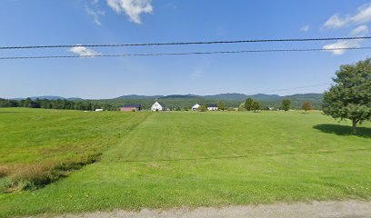 Degre Auction Services - Store photo