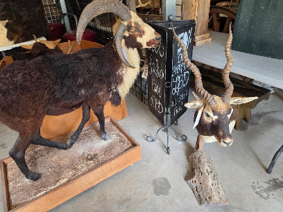 Heidenheimer Auction Company - Store photo