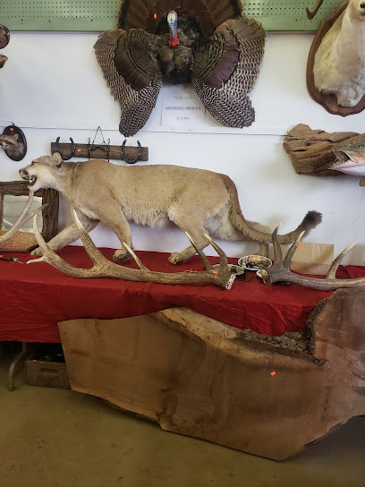 Ploss Auction - Store photo