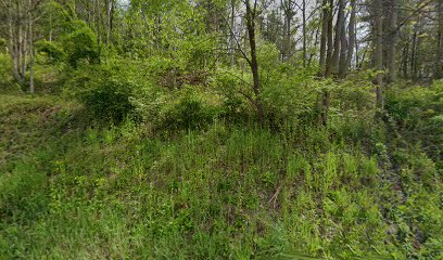 Spotts Auction, LLC - Store photo