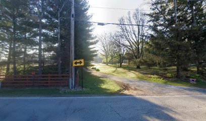 Moonlight Arms, LLC - Store photo