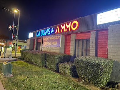 CA GUNS & AMMO - Store photo