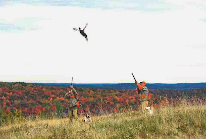 Warriors Mark Wingshooting - Store photo