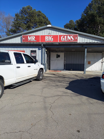 Mr. Big Guns - Store photo