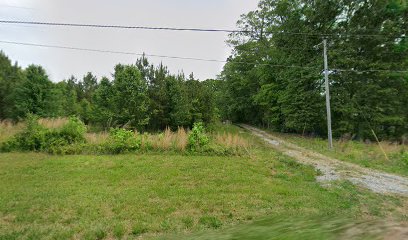 WildCat Creek Gunroom - Store photo