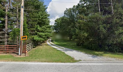 Moonlight Arms, LLC - Store photo