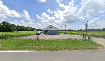 Willis Arms & Repair - Store photo
